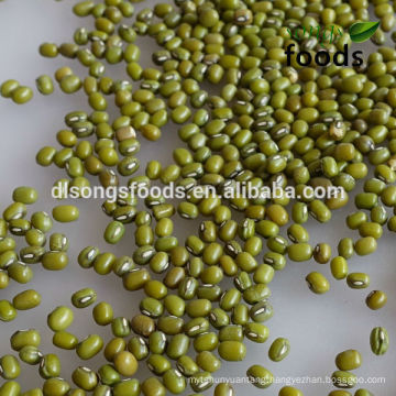 New Crop Green mung bean price